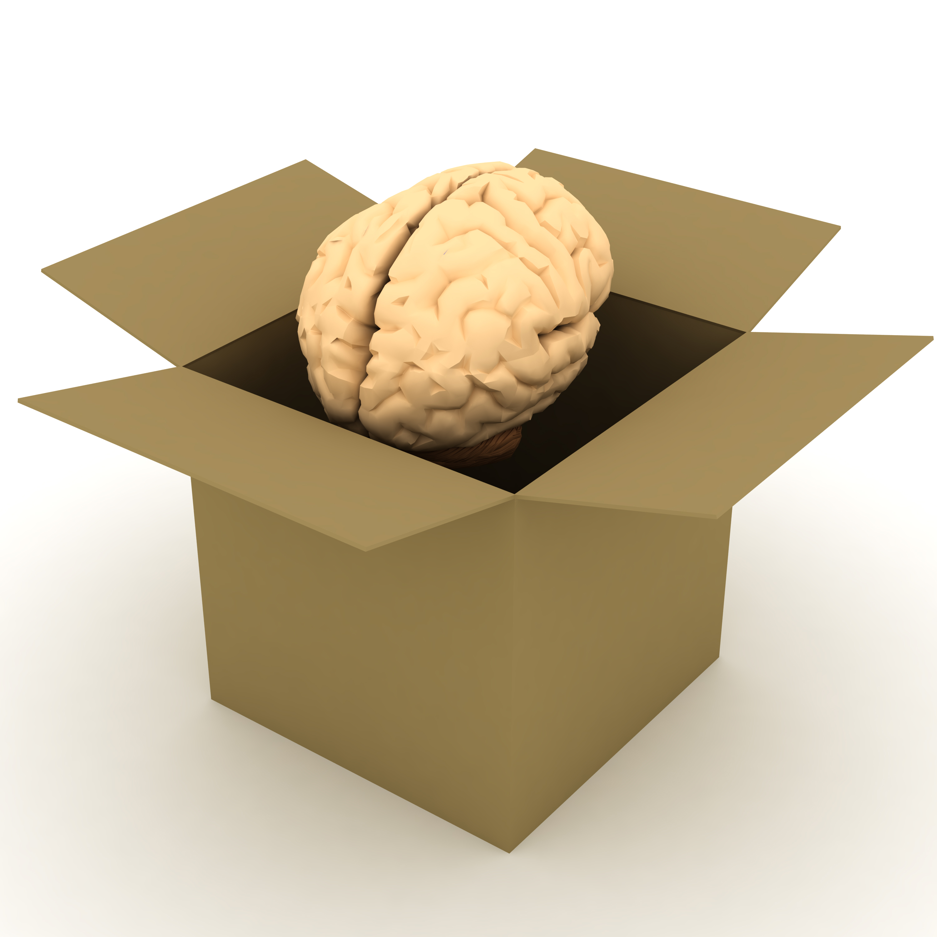 Brain-out-of-the-box